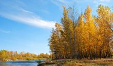 心烦的句子带图片带字