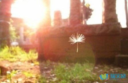 11.十年的生死是无边无际的，刻骨铭心的。数千英里的寂寞坟墓，无处可言，沉闷，即使彼此相遇，他们的脸上还是尘土飞扬，庙宇就像霜冻。到了晚上，幽梦突然回到故乡，小轩靠窗，穿衣，彼此无言以对，只有眼泪的万千行，期望每年被残破，明月的夜晚，短暂的松岗。