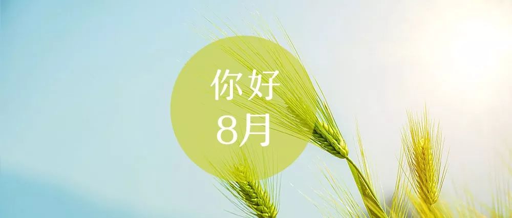 感情谈人生的第五期