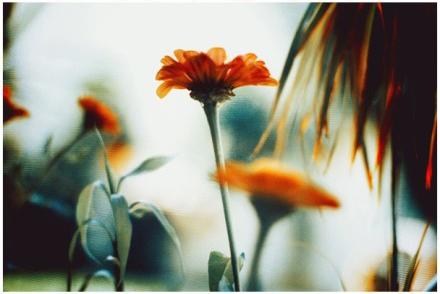 12.在这个世界上,没有人比我们父母更爱我们。