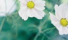 关于珍惜亲情勇敢表达的句子