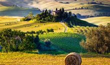 后悔没有早点遇见你的句子