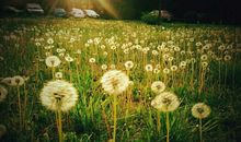 时光易变亲情不变的句子