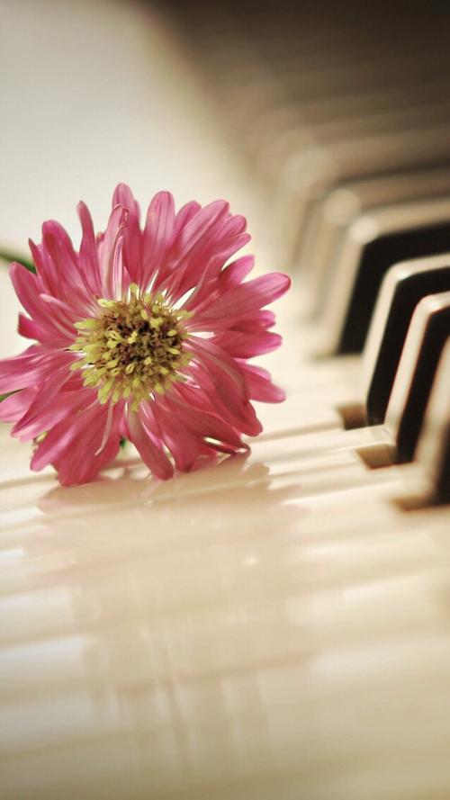 12.我是深海,你是从海的另一侧升起的曙光,总是照亮我的生活。