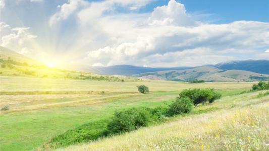 11.家人的感情是“第二天,靠在窗户上,冬天梅花盛开”。向往是“雨中的黄叶树,灯下的白头翁”。