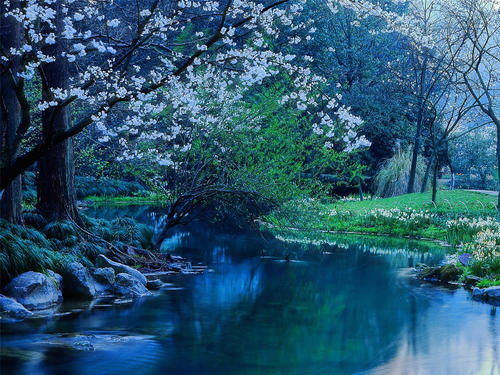 11.家庭感情是父母额头上白发的增加。在父母眼中,这是无限的关怀和希望。亲情是黑暗中的一束光,带给您无可替代的家的感觉和温暖。是的,世界上最美丽的感觉是家庭感情