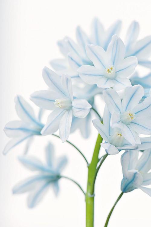 11.家是一座城堡,只有欣赏它,您才能品尝到深刻的内涵。