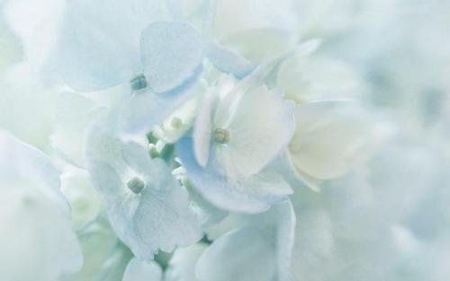 12.家庭塑造优秀人格生活的教科书是激发精神力量的源泉是情感雨滋养心灵