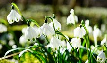 关于以后要开心的句子