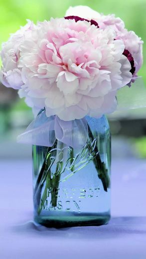 11.父亲带着忧郁的黄色感到忧虑,风缓缓地抬起了窗玻璃。