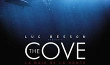 海豚湾经典台词