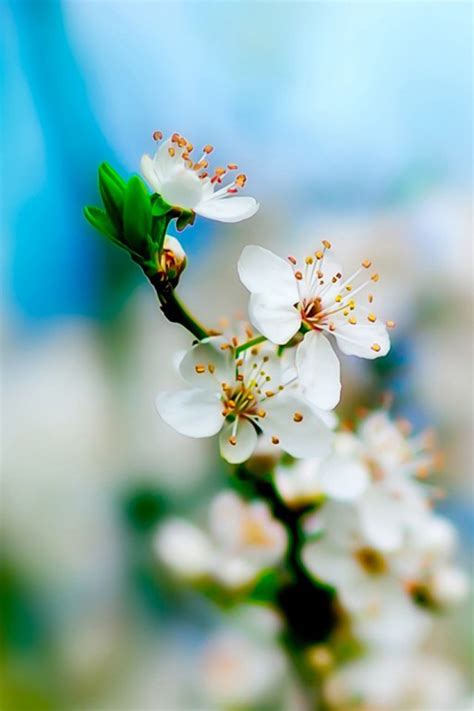 11.拥有这种家庭关爱将使我们在风雨中的生活变得美丽愉快,并使充满温暖的艰苦世界变得更加艰辛。