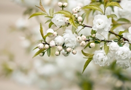 12.家庭塑造优秀人格生活的教科书是激发精神力量的源泉是情感雨滋养心灵