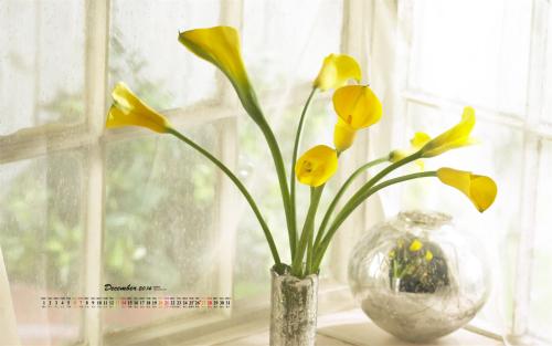 11.一般规则是，所有上级男人都从母亲那里继承上级元素。