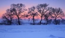 形容距离远亲情近的唯美句子