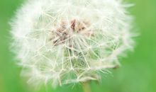 做比较的句子短句大全