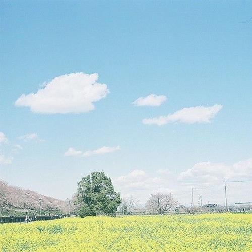 10.那是一种宽广的胸怀，一种升华的父爱。