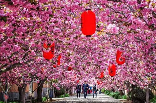 11.当我偶尔对生活感到失望和对自己过于关心时，我也会感到沮丧，并会悄悄向上帝抱怨几句话，但是当我想到已经拥有的一切时，我会立即纠正自己的情绪并停止抱怨。 ， 快乐地生活。不仅如此，我还喜欢将幸福视为一种传染病，并感染我每天接触的社会和人们。