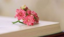 女生跟男生说玩的不开心的句子