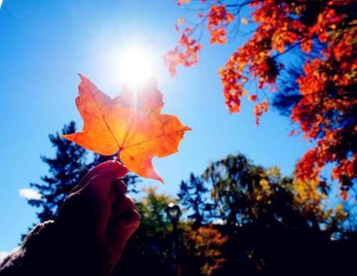 12.我分手了,为什么不做朋友呢?至少我可以改变角色来关心你。