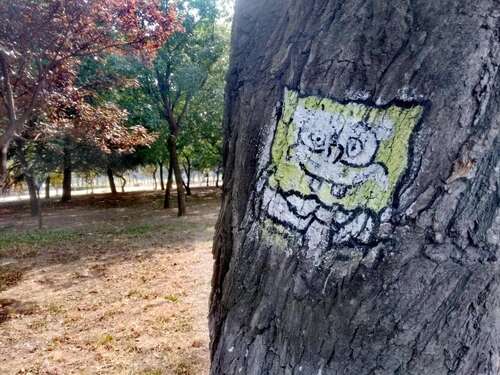 12.多年来，我一直在追求和平生活。我不喜欢争执或改变！