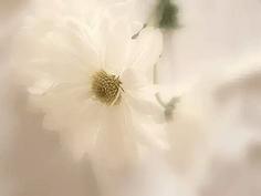 10.但是，在那一刻，我意识到：亲情是如此重要。