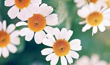 关于亲情无价的搞笑句子