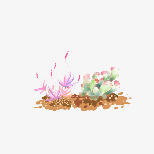 10.因此，我们年轻时可以得到亲戚的照料，生活得很好！