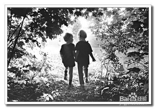 兄弟情谊的美句1