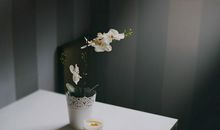 感叹时光的句子