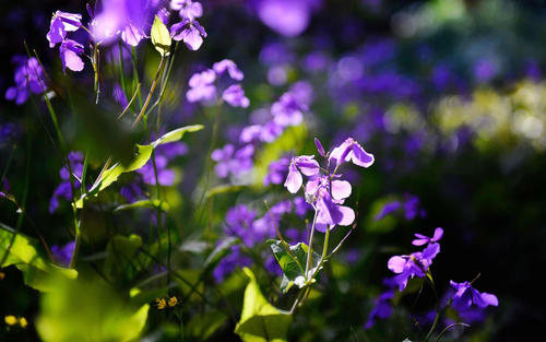 12.什么是家庭感情？眼泪，看似平凡的事物具有非凡的意义。