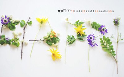 11.脚踏实地，太阳总是在风吹雨打之后，风雨过后会有彩虹。