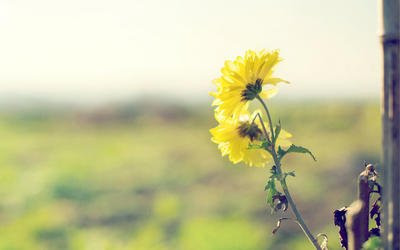 10.创造无限的财富，回报亲朋好友。