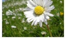 愿所有人都可以开开心心的句子