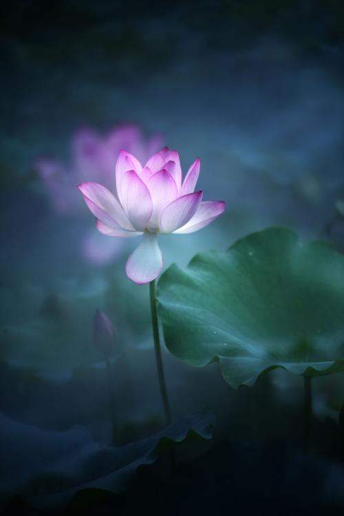 10.母亲是温暖的阳光,我是阳光下的幼树;母亲是广阔的大海,我是大海中的一条小鱼;母爱是美丽的花园,我是花园中的小蝴蝶;母爱是蔚蓝的天空,我是蓝天下的小鸟。