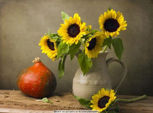 11.父亲节到了，我想给你送一件外套：口袋暖和，衣领贴心，袖子贴心，纽扣叫小姐；让这件大衣每分每秒陪伴您，并祝您父亲复活节快乐！