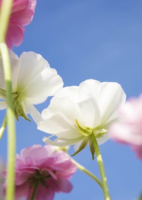 11.母爱是冬天的阳光,温暖着我们寒冷的心;母爱是寂静夜空中的歌,带给我们精神上的安慰,让我们沐浴在母爱的阳光下,摒弃世上所有的烦恼,尽情享受吧!