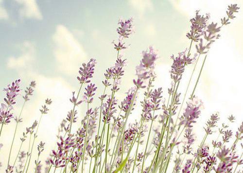 10.房子就是港口。当它很远时它将自然返回。家就是港口。家庭依靠它。累的时候，它躺在柔软的床上。喝醉一次。家是人民的永久居所