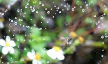 说明文里打比方的句子