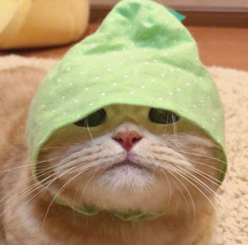 我写给自己的话