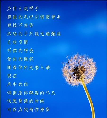 渴望自由的句子