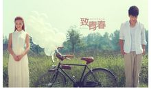 致青春经典台词