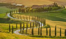 有关心寒亲情的句子