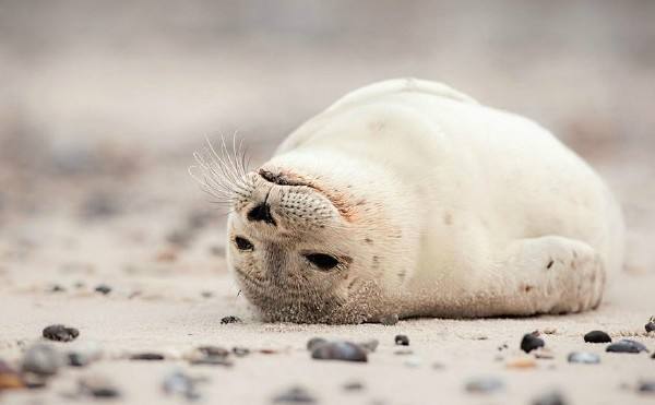 谈论生活的感受