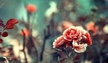 亲情需要沟通的句子