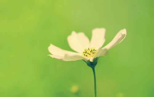 12.当我难过时，家庭之爱使我感到安慰。当我犹豫时，家庭之爱鼓励着我。当我快乐时，家庭之爱给了我祝福。