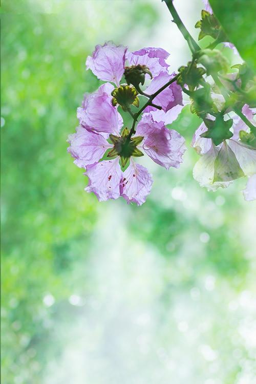 10.成功后，每个人都是朋友。但是只有母亲-她是失败的伴侣。