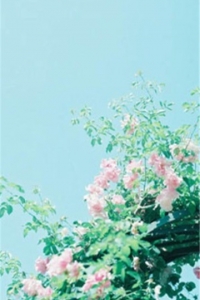 11.母爱是世界上最真诚的爱。