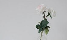 以亲情为话题的句子