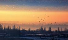 透露出亲情的句子